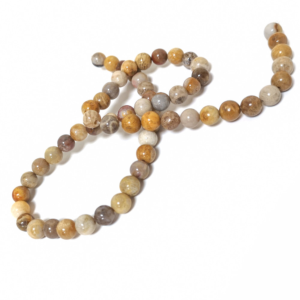 Beige/Grey Fossil Jasper Beads Plain Round 6mm Strand Of 60+