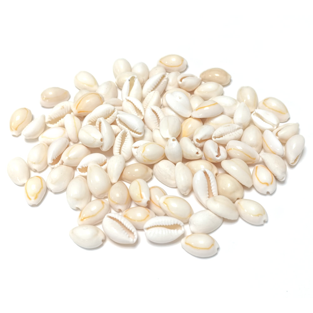 Natural Cowrie Shell Whole Approx 10x17mm Pack Of 50g