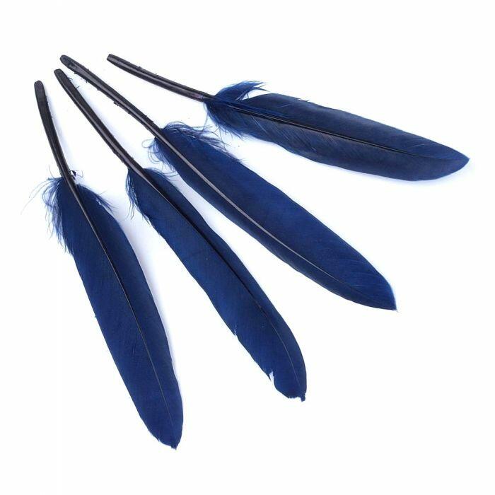 A pack of 30 goose feathers, dark blue in colour, 10-17cm in length