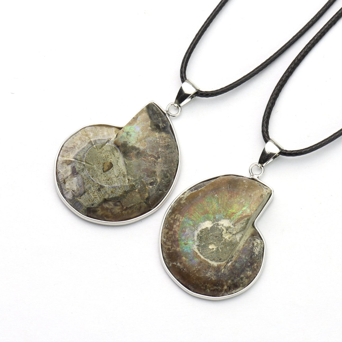 Ammonite Fossil Pendant 30-36mm With Bail